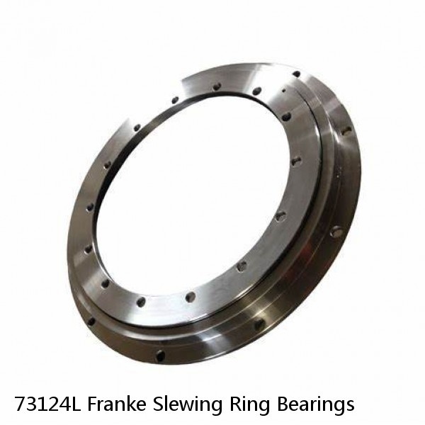 73124L Franke Slewing Ring Bearings