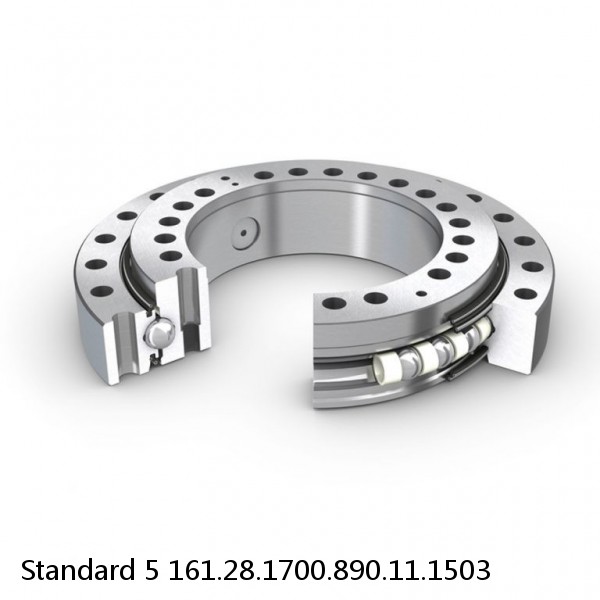 161.28.1700.890.11.1503 Standard 5 Slewing Ring Bearings