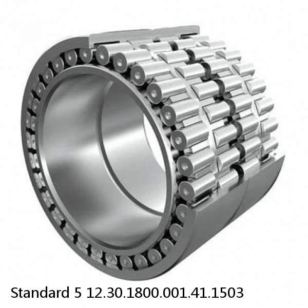 12.30.1800.001.41.1503 Standard 5 Slewing Ring Bearings