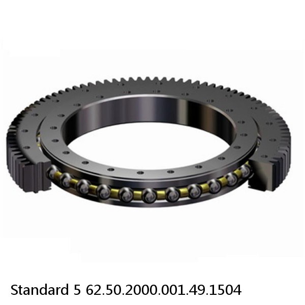 62.50.2000.001.49.1504 Standard 5 Slewing Ring Bearings