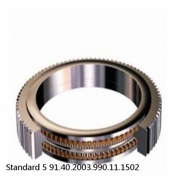 91.40.2003.990.11.1502 Standard 5 Slewing Ring Bearings