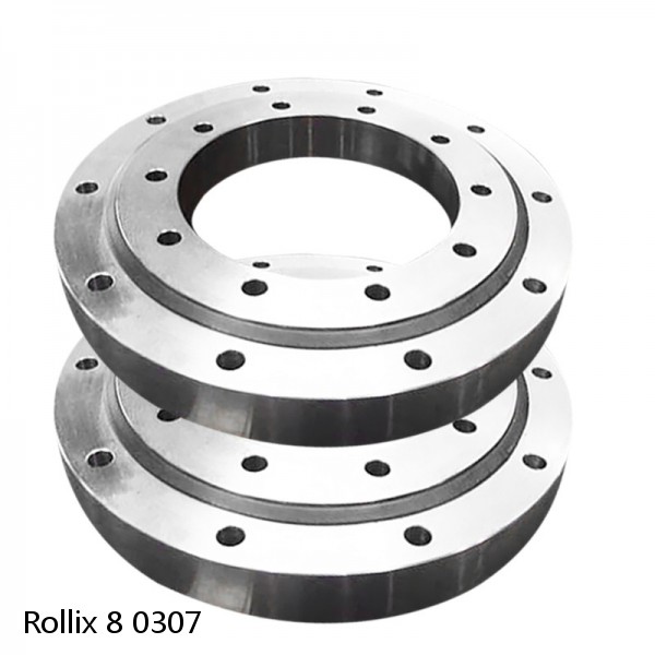 8 0307 Rollix Slewing Ring Bearings