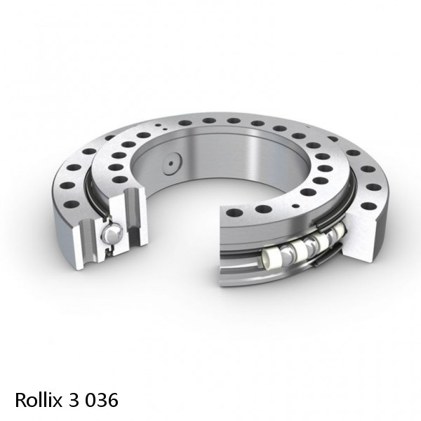 3 036 Rollix Slewing Ring Bearings