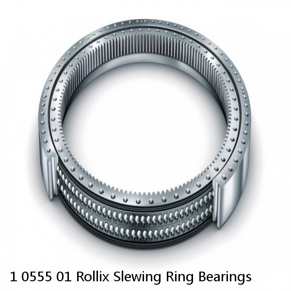 1 0555 01 Rollix Slewing Ring Bearings