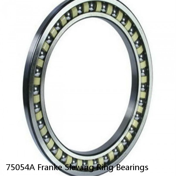 75054A Franke Slewing Ring Bearings