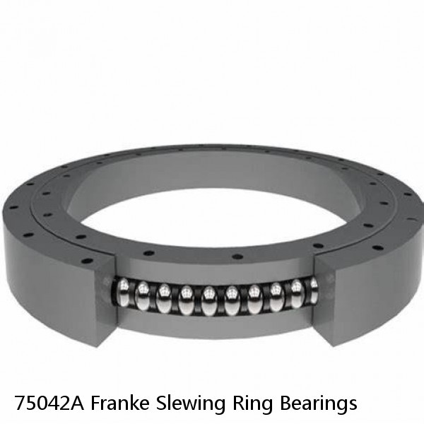 75042A Franke Slewing Ring Bearings