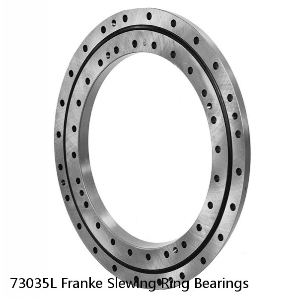 73035L Franke Slewing Ring Bearings