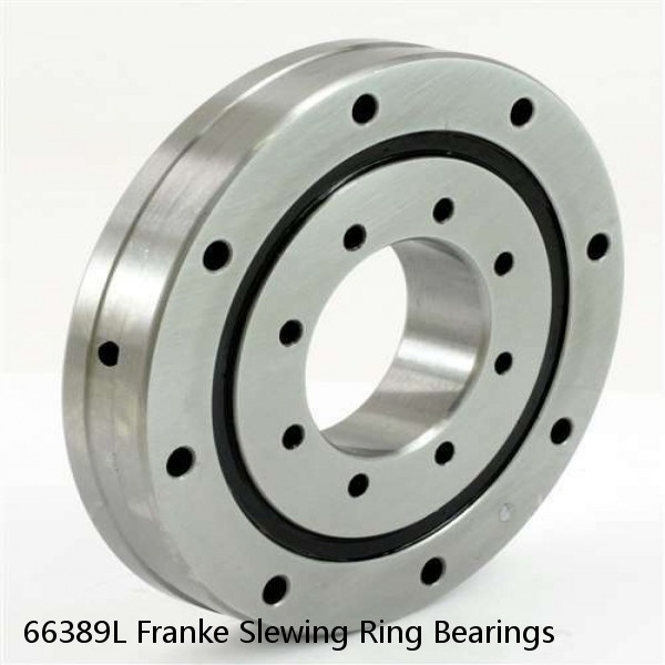 66389L Franke Slewing Ring Bearings