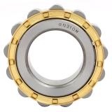 EBC 6006 C3  Single Row Ball Bearings